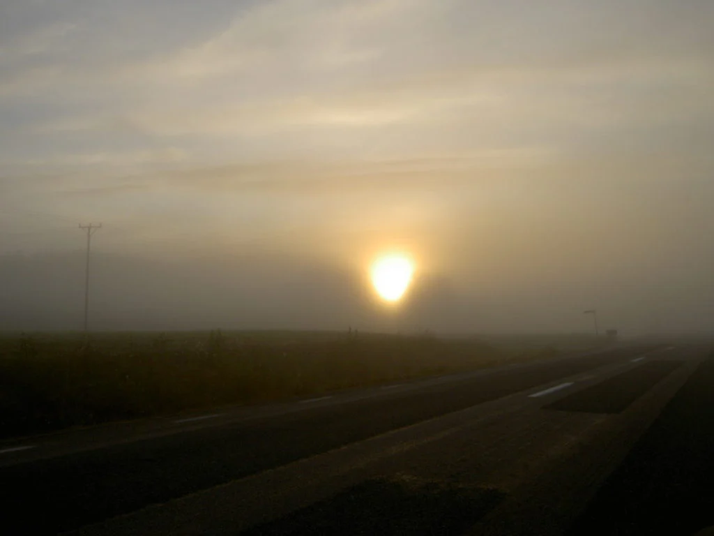 When Life Feels Like a Fog: You’re Not Alone
